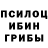 Галлюциногенные грибы Magic Shrooms Riley macie
