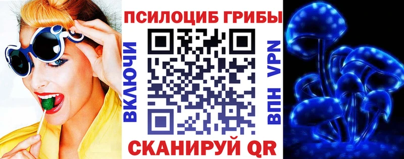 купить закладку  Гороховец  Галлюциногенные грибы Psilocybine cubensis 